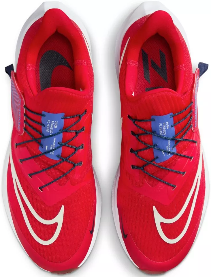 Scarpe da running Nike Pegasus FlyEase